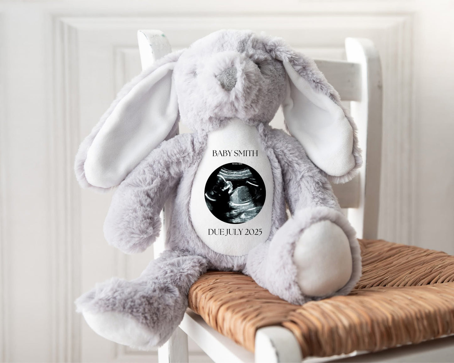 Custom Baby Scan Plush