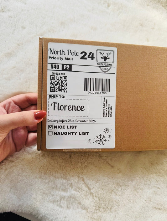 North Pole Priority Mail Christmas Postage Fake Label